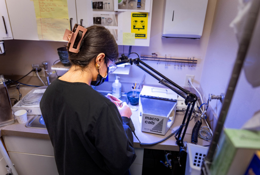 Dental Crowns in Mira Mesa, San Diego